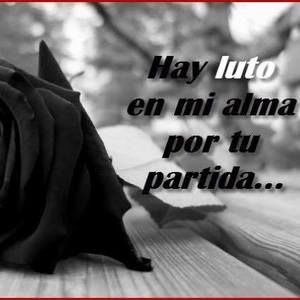 Meet your Posher, Manuel